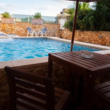 Prickly Pear Holiday No.1