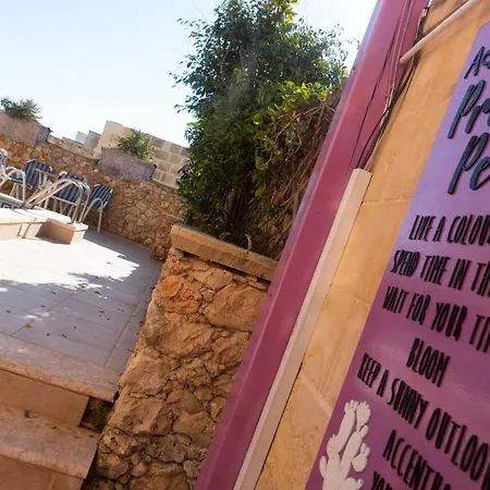 Prickly Pear Holiday No.1