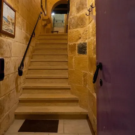 Prickly Pear Holiday No.1 *