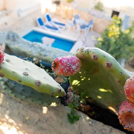 펜션 Prickly Pear Holiday No.1