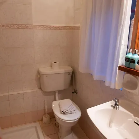 Prickly Pear Holiday No.1 *