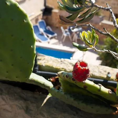 펜션 Prickly Pear Holiday No.1 *