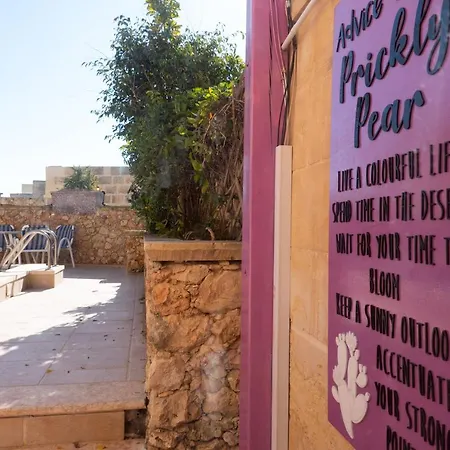 Prickly Pear Holiday No.1 * 산로렌츠