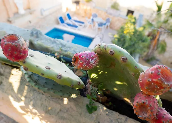 Σπίτι διακοπών Prickly Pear Holiday No.1