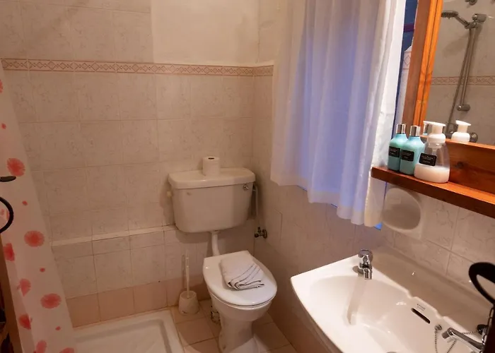 Prickly Pear Holiday No.1 *