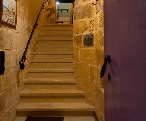 Prickly Pear Holiday No.1 *