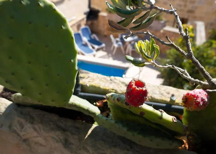 Vakantiehuis Prickly Pear Holiday No.1 *