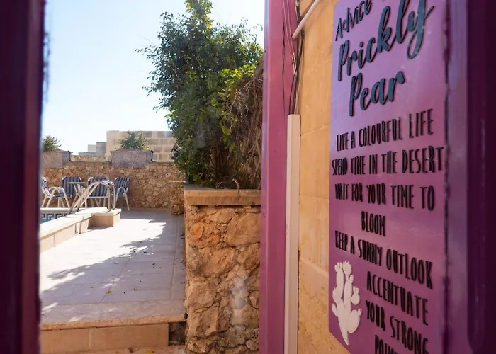 Prickly Pear Holiday No.1 * San Lawrenz